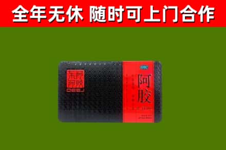 天长回收阿胶